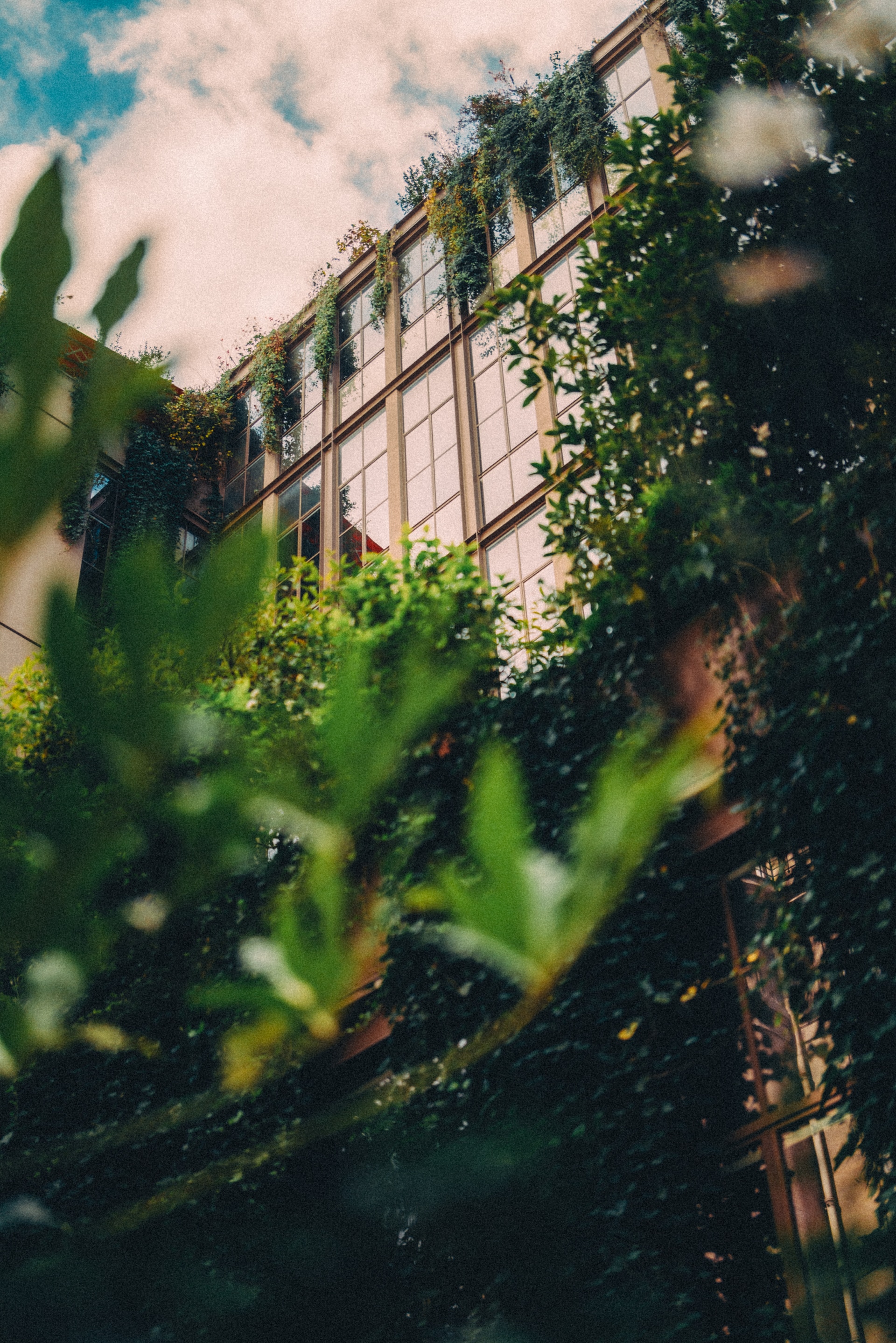 Crédit Instagram : @odieuxboby