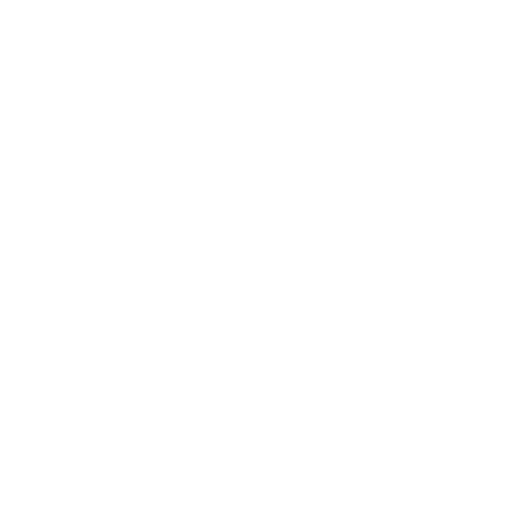Nolinski@2x