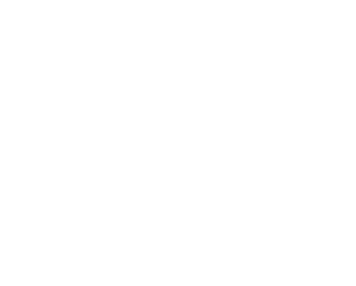 logo Nolinski Venezia_Blanc