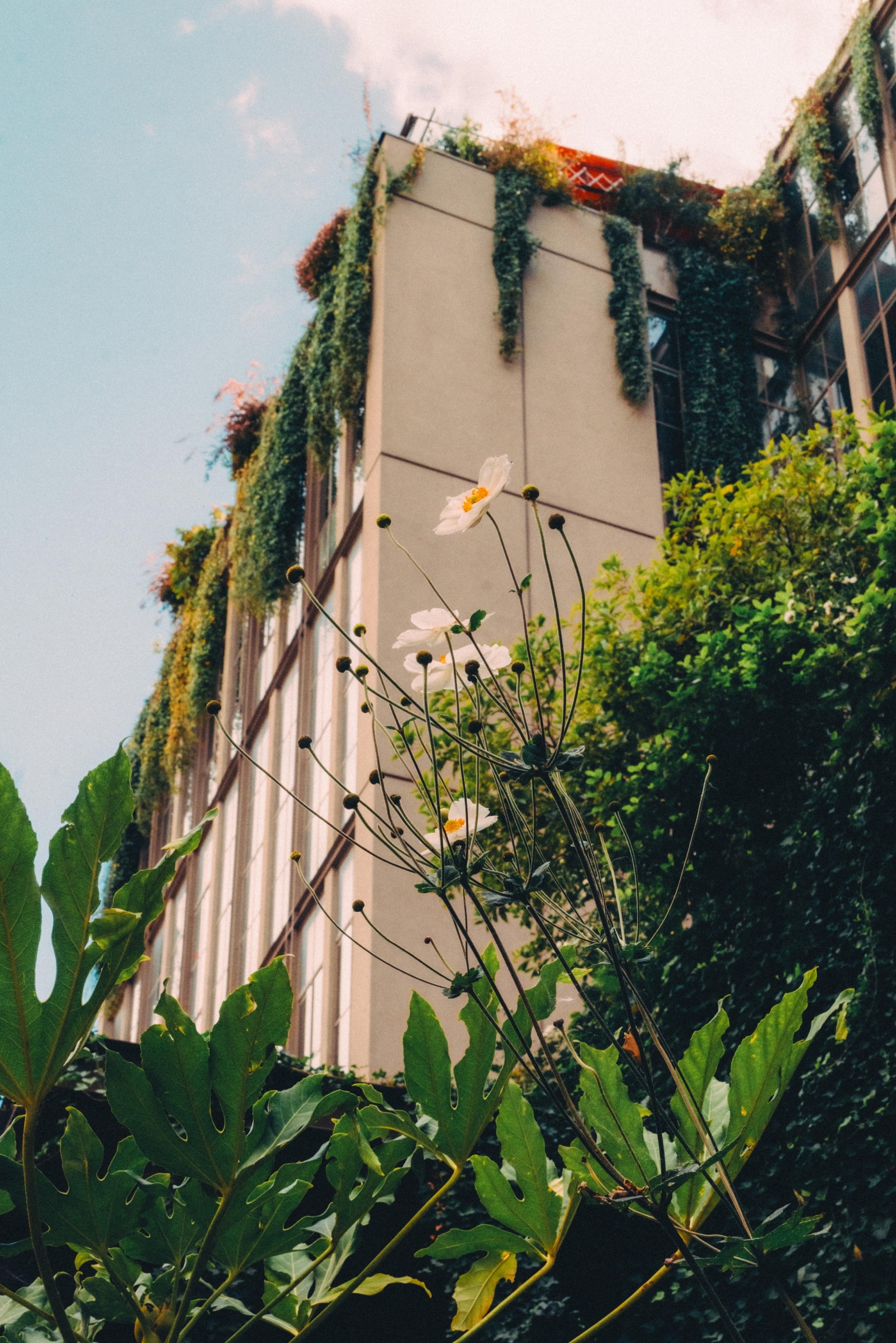 Crédit Instagram : @odieuxboby